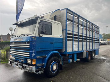 Caminhão transporte de gado SCANIA R113