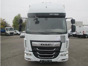 Locação de DAF LF 12.260  DAF LF 12.260: foto 2