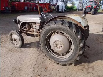 Locação de Massey Ferguson 31  Massey Ferguson 31: foto 3