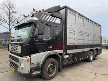 Caminhão para transporte de cavalos VOLVO FM 400