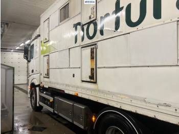 Caminhão transporte de gado Mercedes Actros: foto 3