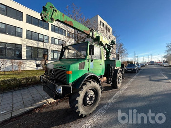 Caminhão grua UNIMOG