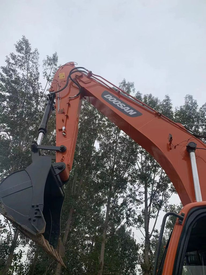 Escavadora de rastos Doosan DX300LC-9: foto 10